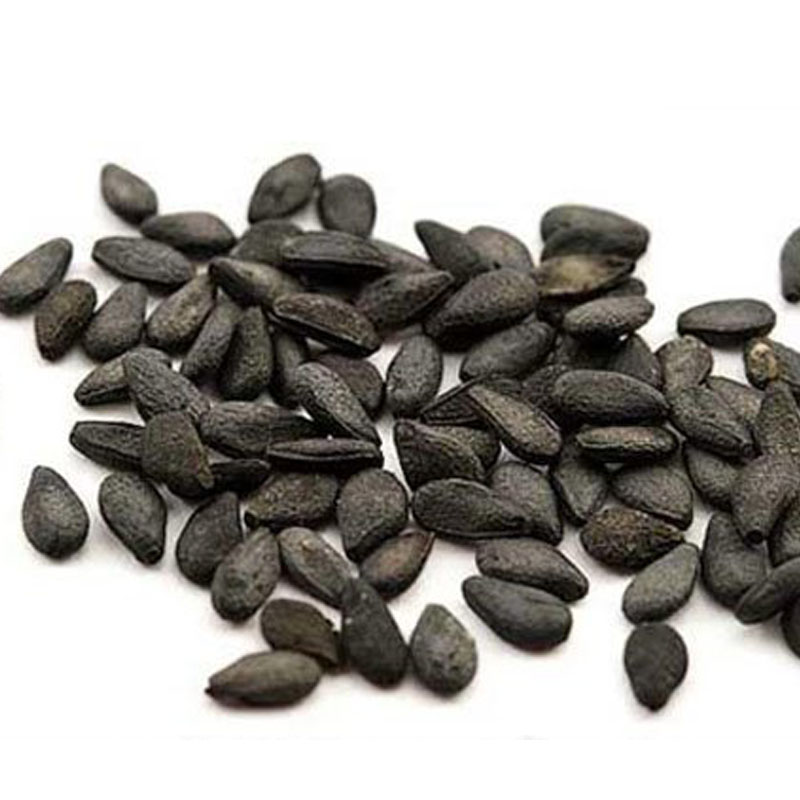 Черные семена похожие. Семена черного тмина и семена черного кунжута. Кунжут черный, семена черного кунжута 500 гр, Индия, Narmak. Чёрный кунжут семена, 170 гр.. Кунжут черный 100г (Никольские проростки).